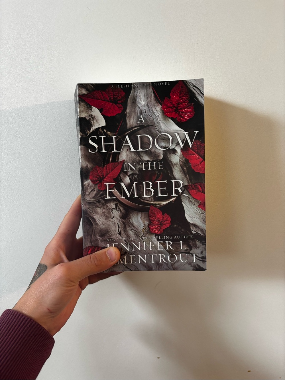 A Shadow in the Ember by - Black & Red Cover